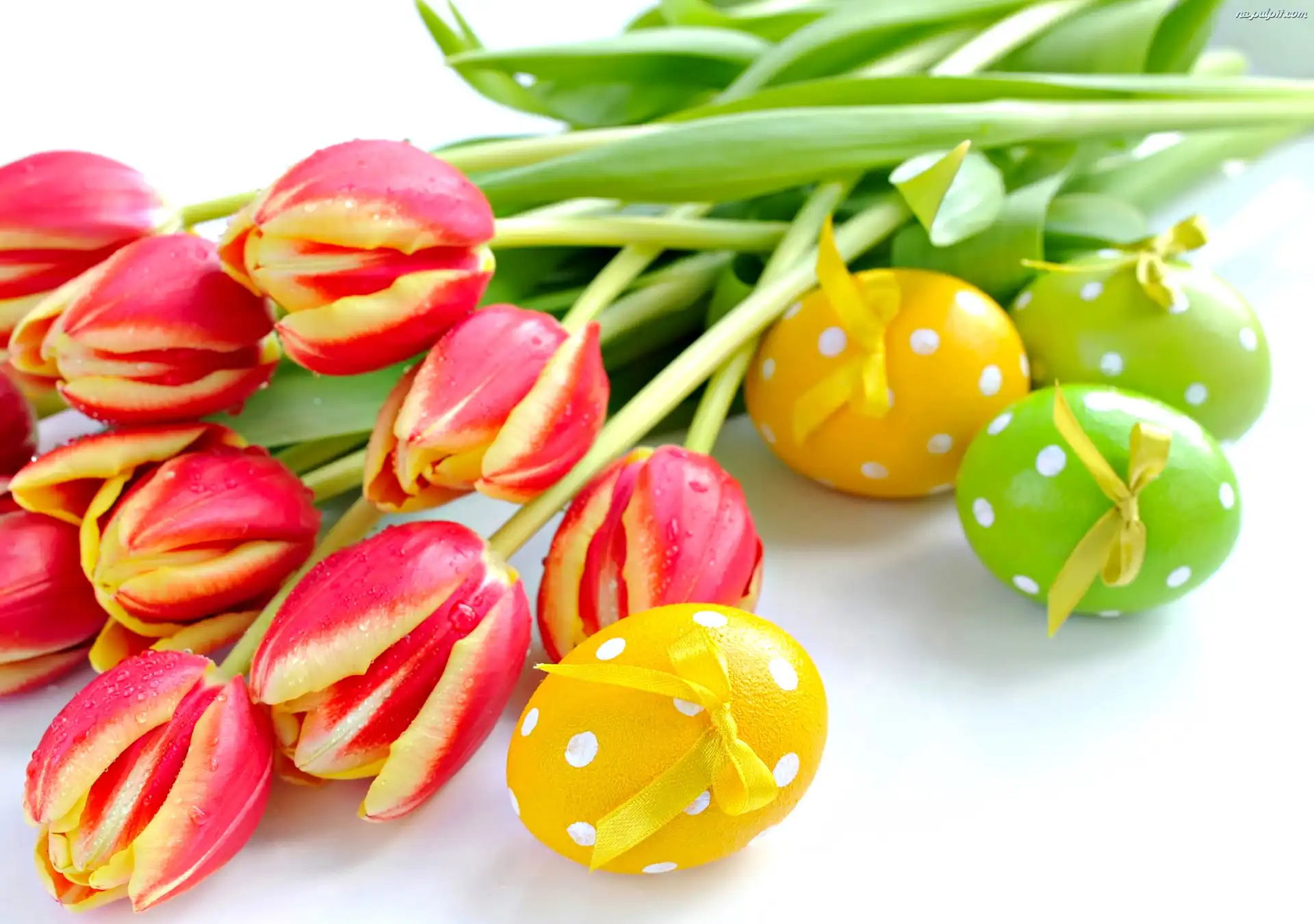 Tulipany, Wielkanocne, Jajka
